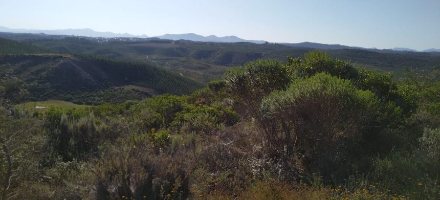 0 Bedroom Property for Sale in Pezula Private Estate Western Cape